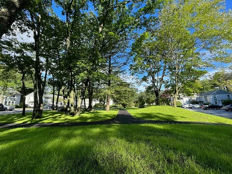 The Bellamy Apartments — Photo 29