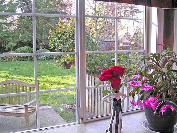 View of huge back yard