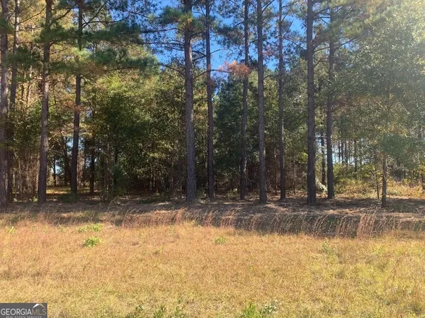 7 Jenny Lynn Ln, Fort Gaines, GA 39851