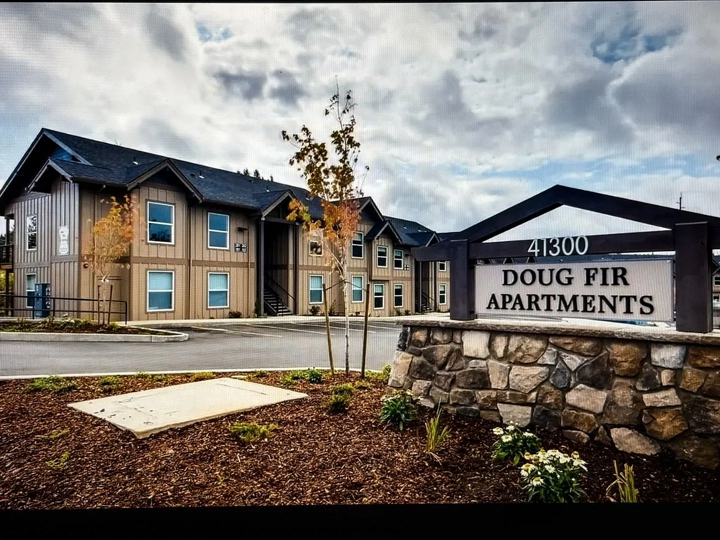 #213 DOUG FIR — Photo 1