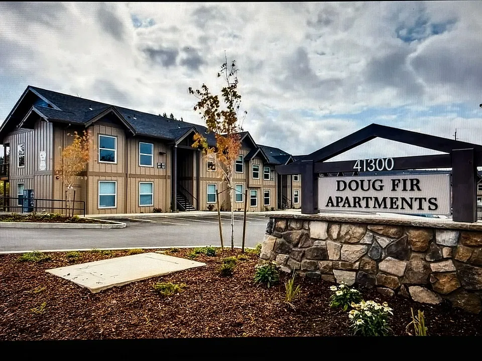 #213 DOUG FIR