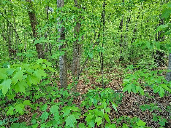 4th image of 0 Lynden Loop