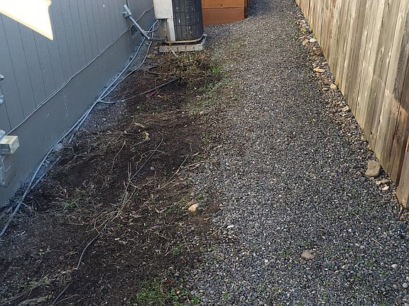 Garden with raised bed