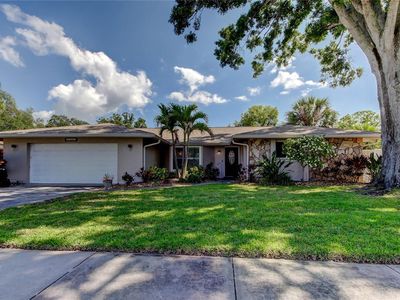 1041 Persimmon Dr, Palm Harbor, FL, 34683