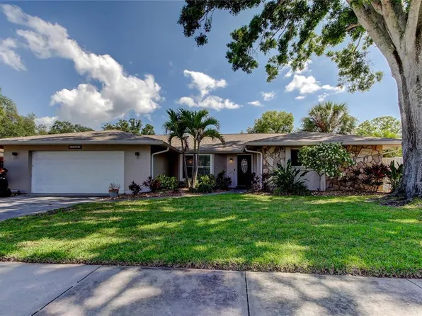 1041 Persimmon Dr, Palm Harbor, FL 34683