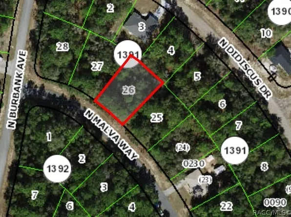 10725 N Malva Way, Citrus Springs, FL 34434