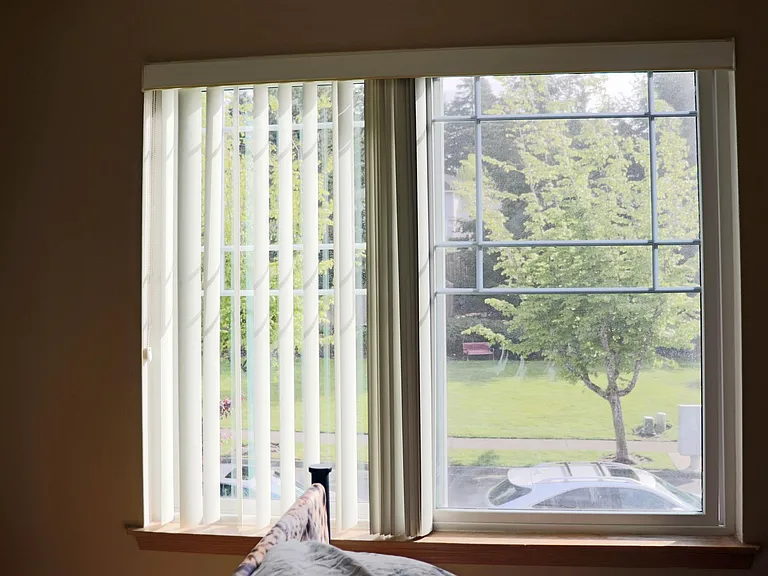Master bedroom window