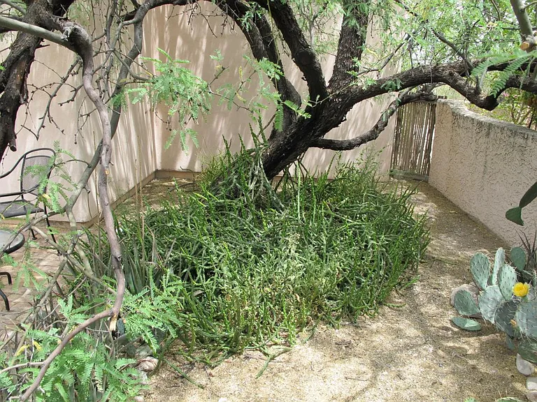 2315 W Wagon Wheel Dr — Photo 13