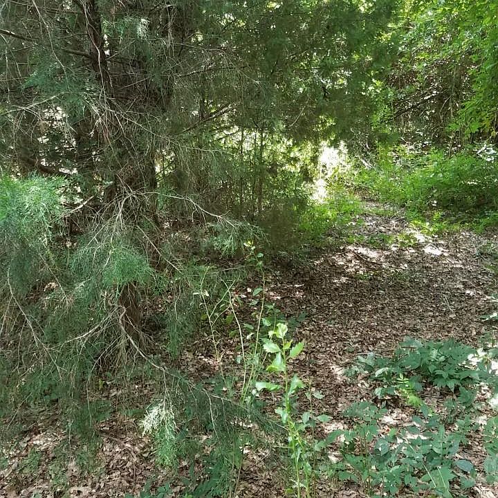 2nd image of 0 Monticello Hwy
