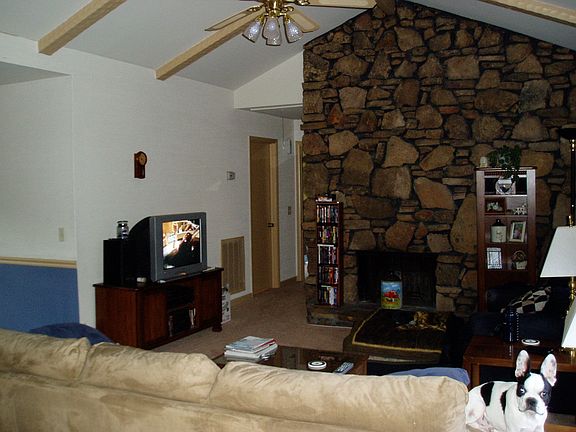 Vaulted ceiling & fireplace