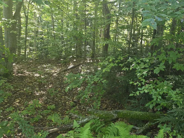 00 Allard Farm Circuit, Conway, NH 03860