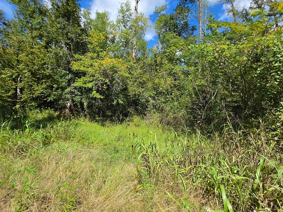 2nd image of 0 A & North Rd