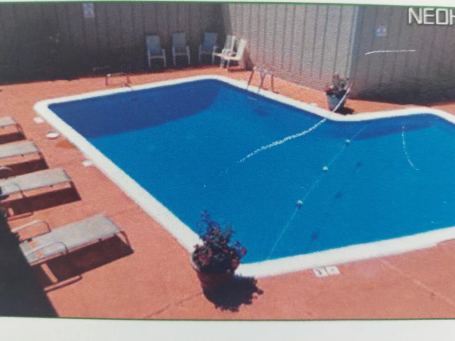 2 bed, 950 sqft, $1,450 — Photo 3