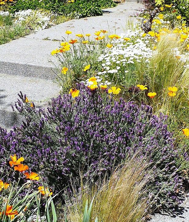 Spring Entrance 2009
