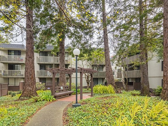 2nd image of 2225 Shelter Creek Ln