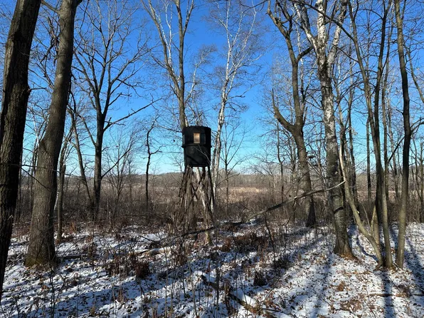 Xx 153rd St, Hillman, MN 56338