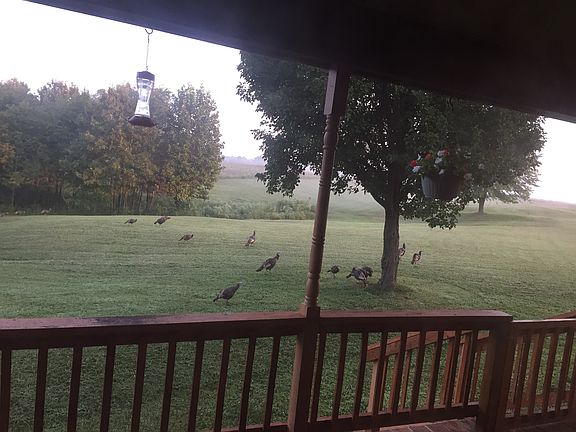View from front porch