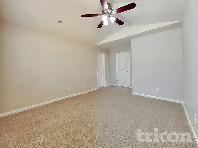 325 Emilies Crossing Way — Photo 5