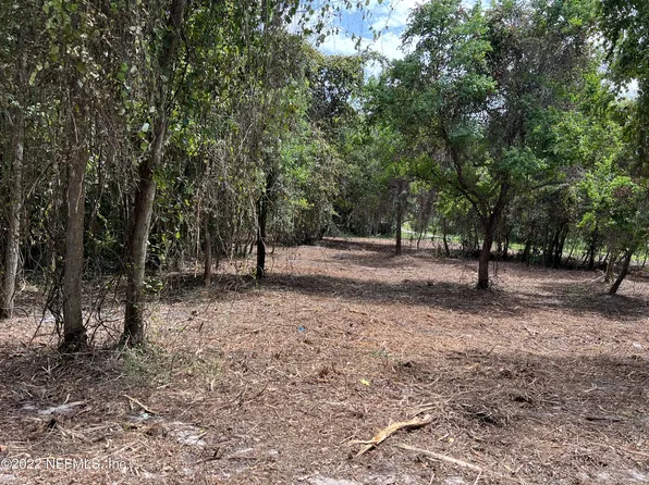 4070 HONEYSUCKLE Circle, Middleburg, FL 32068