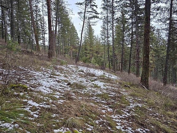 4th image of Tbd Granite View Rd