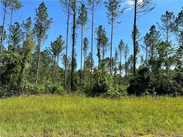 LOT 7 Walker Ferry Rd, Pollock, LA 71467