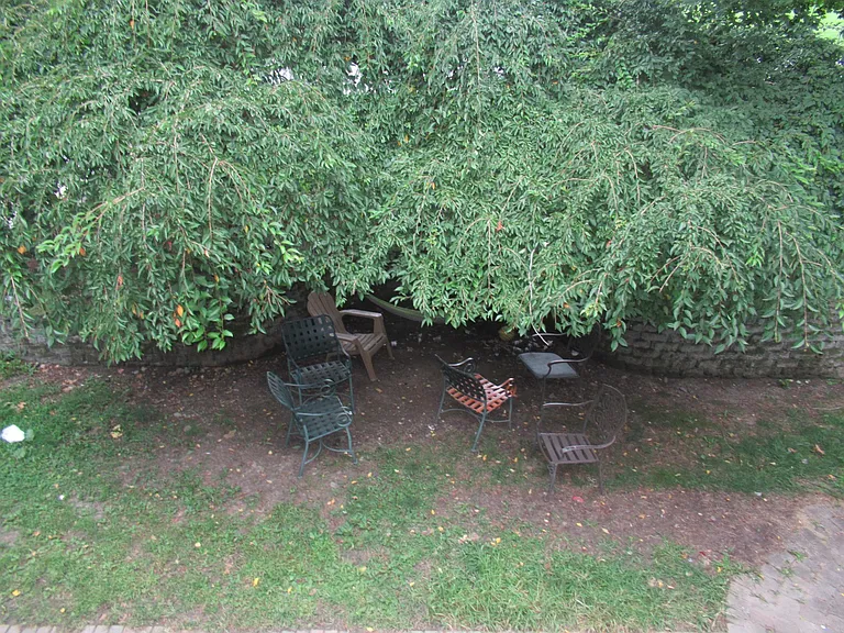 116 Forest Ave — Photo 12