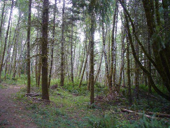 4th image of 0 Old Rainier Rd