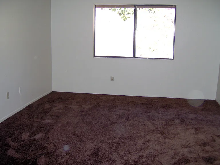 209 Deborah Ct — Photo 7