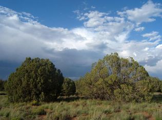 4323 Pinto Rd, Snowflake, AZ 85937