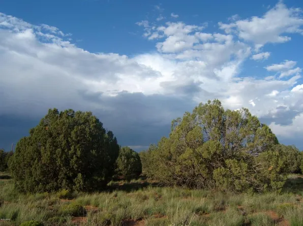 4323 Pinto Rd, Snowflake, AZ 85937
