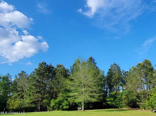 793B W McHenry Rd, Mc Henry, MS 39561