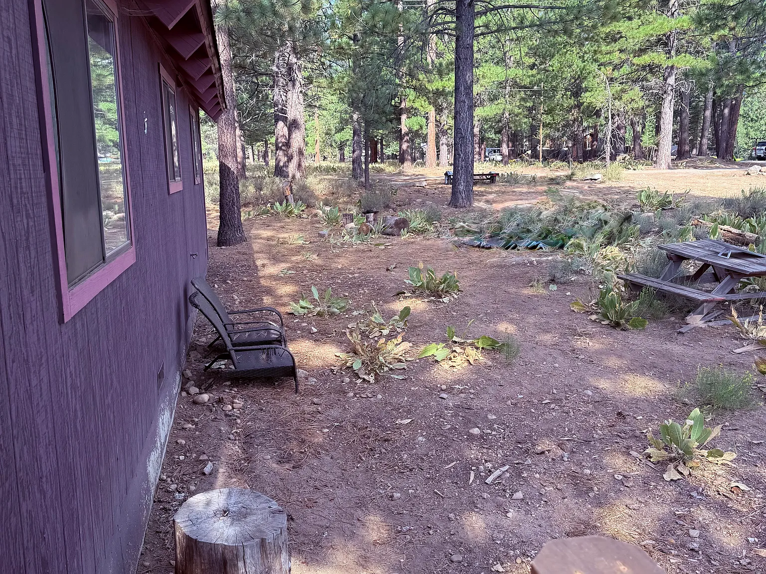 10462 Klondike Flat Rd — Photo 4