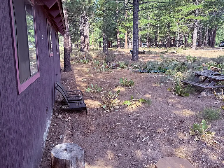 10462 Klondike Flat Rd — Photo 4