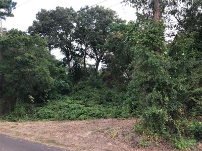 Greenbriar Blvd, Frankston, TX, 75763