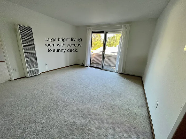*new hardwood laminate flooring to replace carpet
