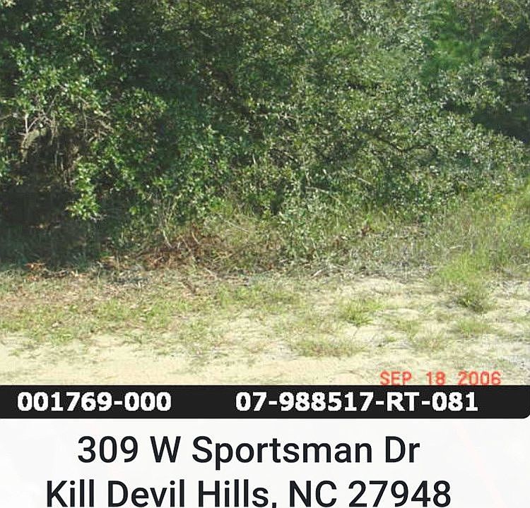 50 x 100 Lot