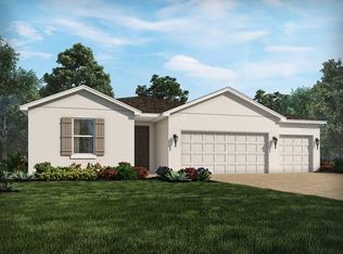 30228 Five Farms Ave, Zephyrhills, FL 33543