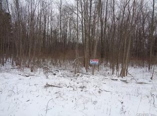 806 Hamlin Clarkson Tl Rd, Hamlin, NY 14464