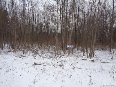 806 Hamlin Clarkson Tl Rd, Hamlin, NY, 14464