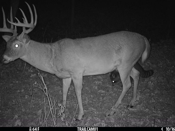 3rd image of 5020 N Table Mound Rd