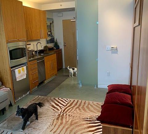 5th image of 766 Harrison St Unit 306