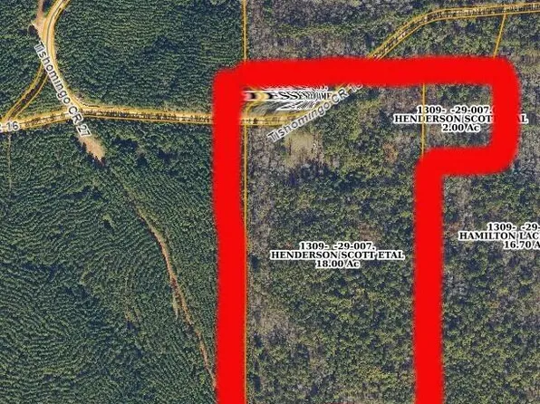 County Road 16, Dennis, MS 38838