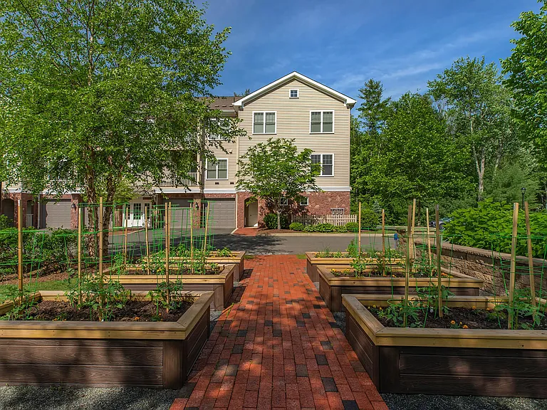 Mill Commons Apartments — Photo 12