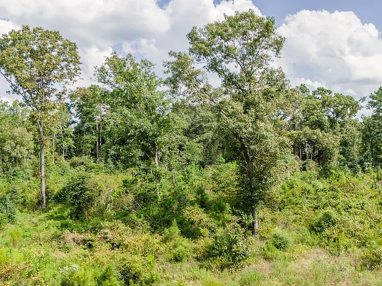 17171 E FM 1097 Rd — Photo 13