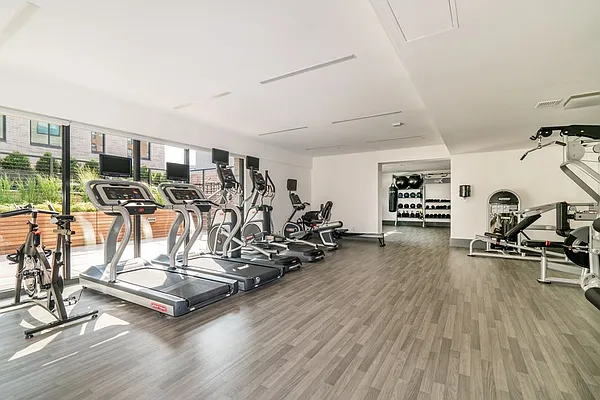 Rented by Lisa Management | media 24