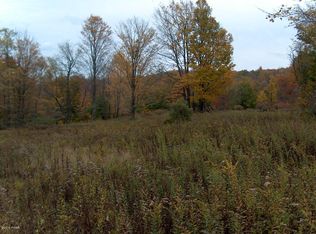 507 Route, Newfoundland, PA 18445