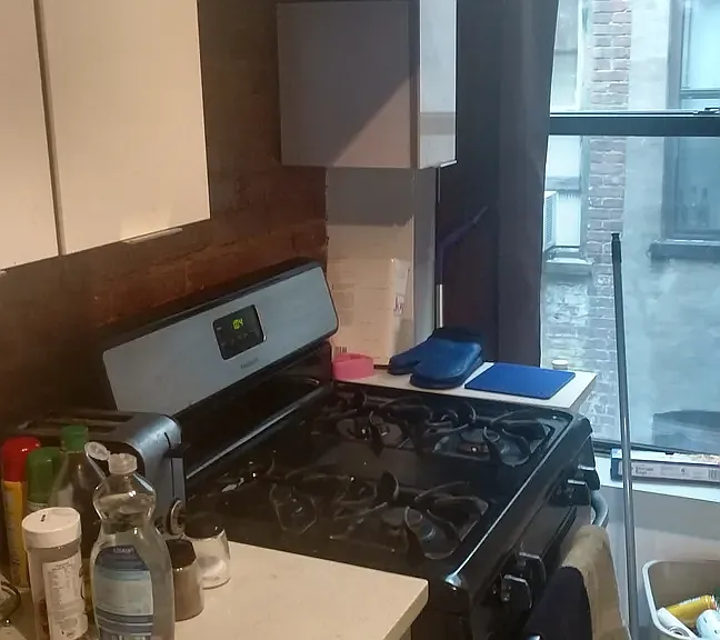 1721 Woodbine St #3L — Photo 9