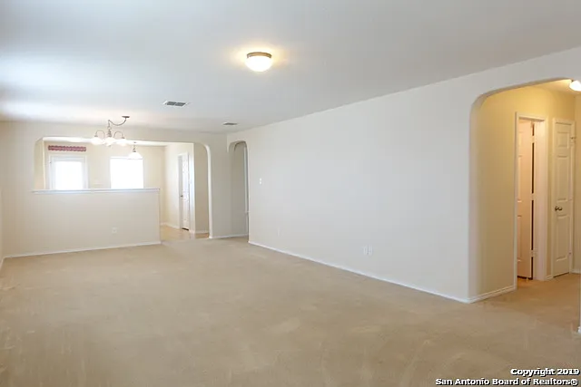 3918 Texas Hawthorn — Photo 3