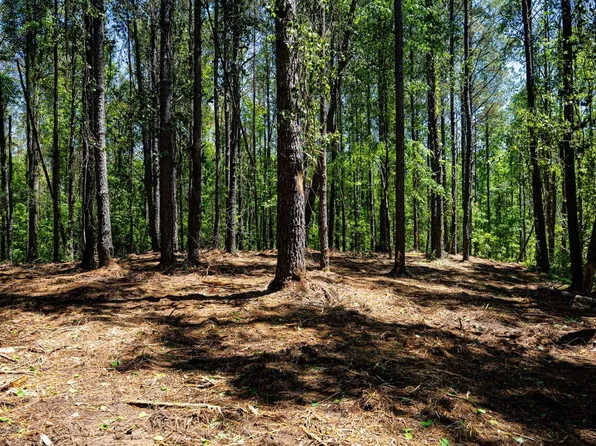 0 John Rankin Hwy Tract 1, Fulton, MS 38843