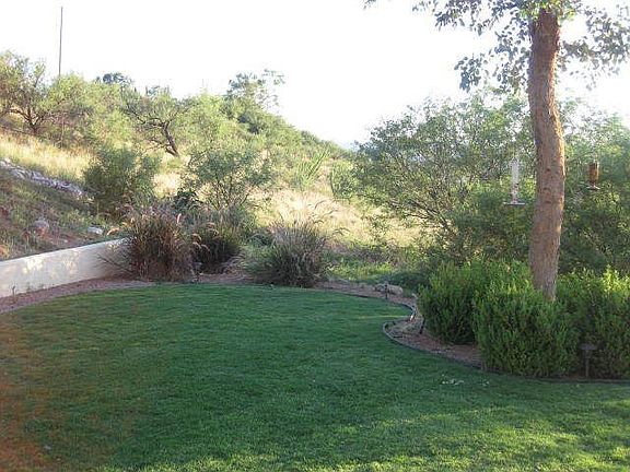 Grass in AZ! Quite the novelty!